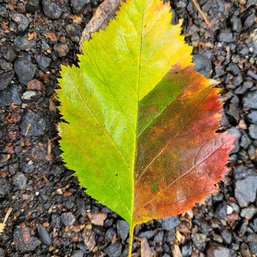 Photo #9956015