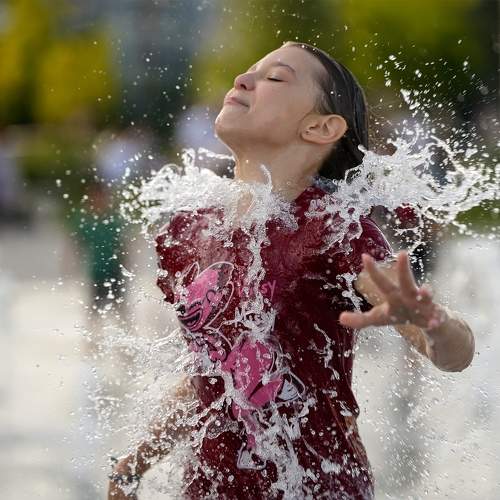 Photo #9956062
