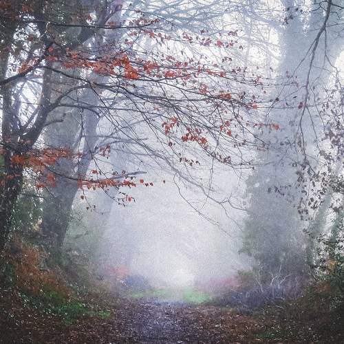 Photo #9956542