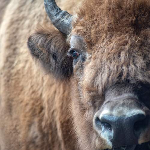 Photo #9956742