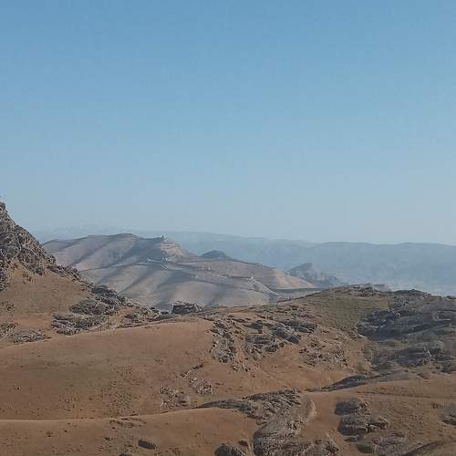 Photo #9957051