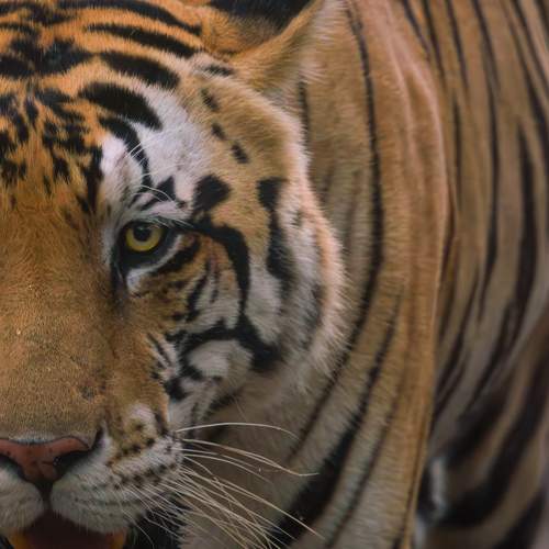 Photo #9957093