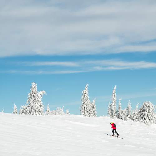 Photo #9957140