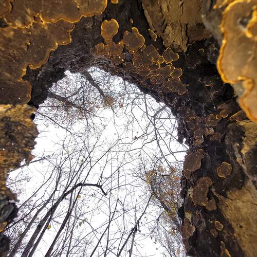 Photo #9957144
