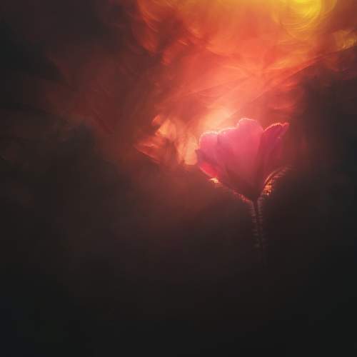 Photo #9957338