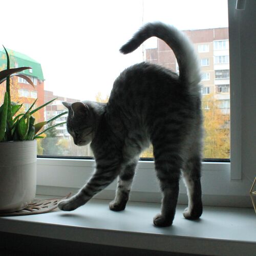 Photo #9957378