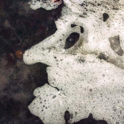 Photo #9957531