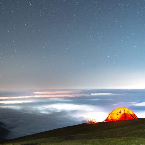 Photo #9957752
