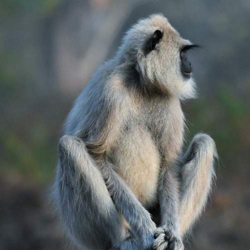Photo #9957820