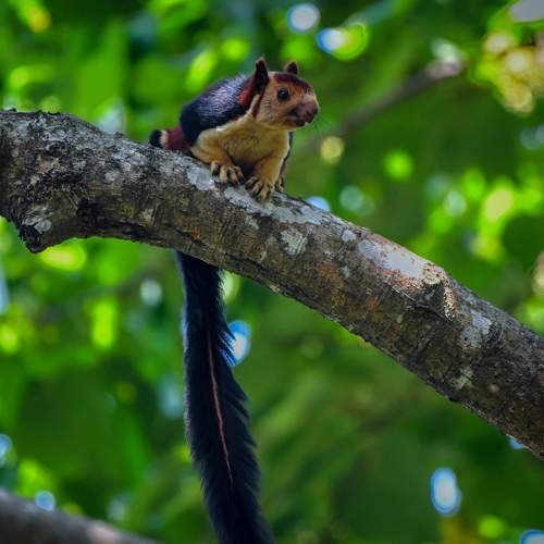 Photo #9957823