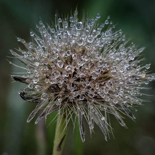 Photo #9958047