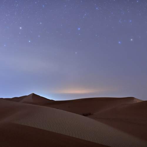 Photo #9958221