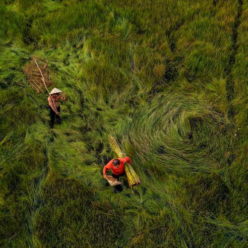Photo #9958573