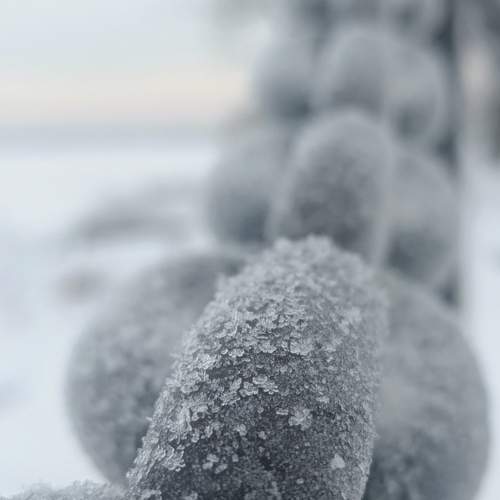 Photo #9958815