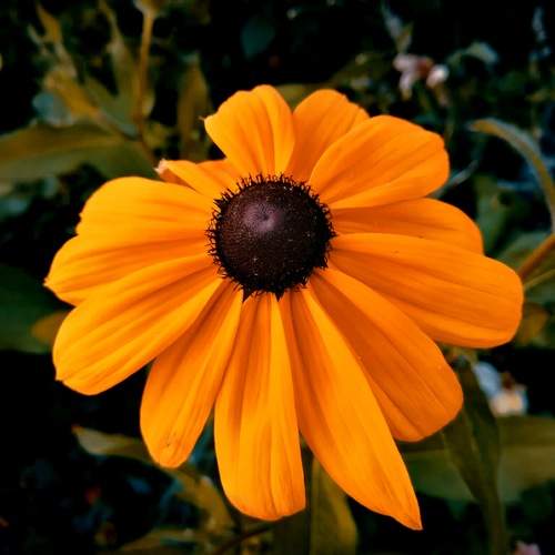 Photo #9959035