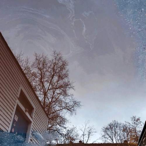 Photo #9959731