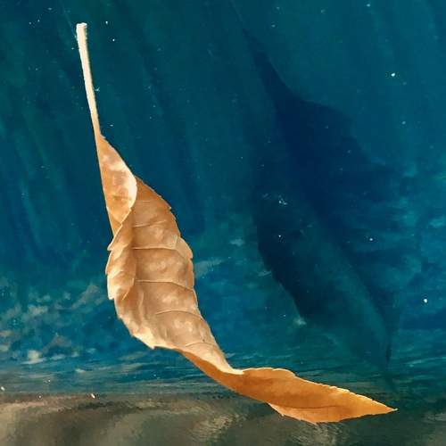 Photo #9959734