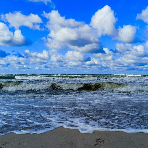 Photo #9959896