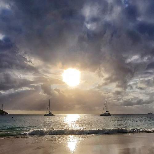 Photo #9960056