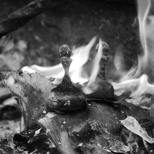 Photo #9960081