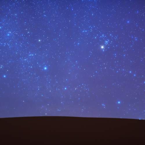 Photo #9960098