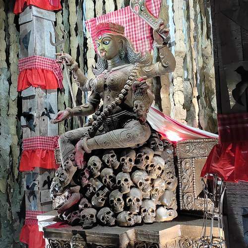 Photo #9960300