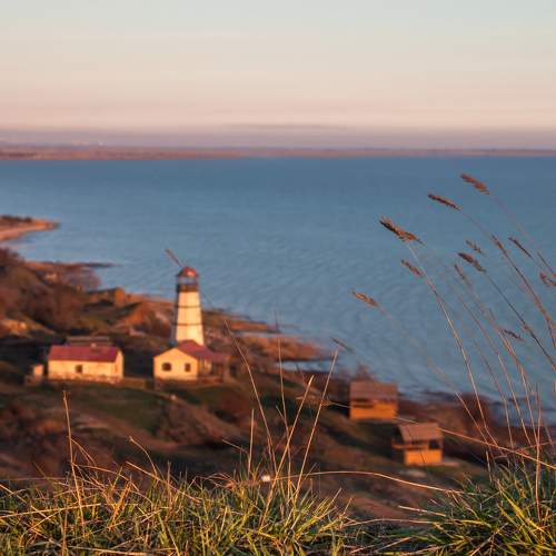 Photo #9960609