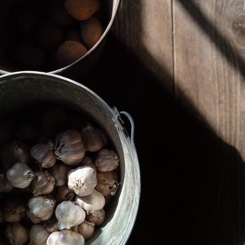 Photo #9960831