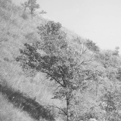 Photo #9960958