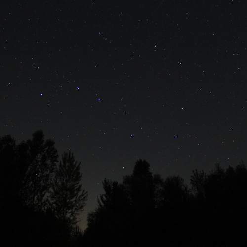 Photo #9961299