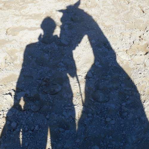 Photo #9961419