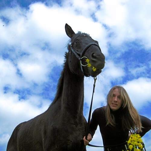Photo #9961431