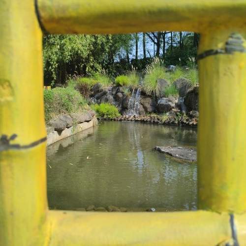 Photo #9961488