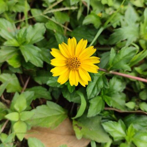Photo #9961522