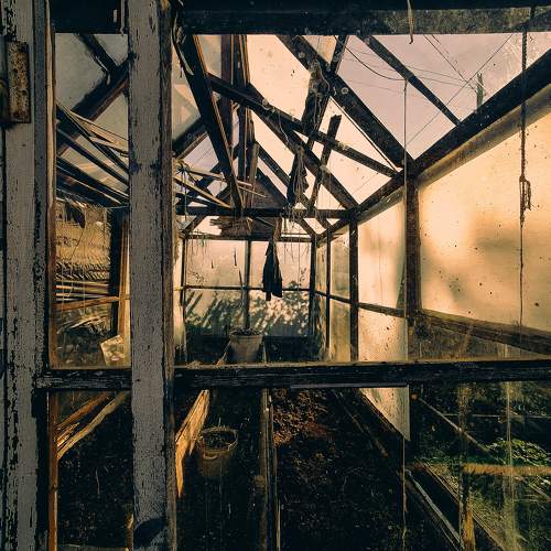 Photo #9961584