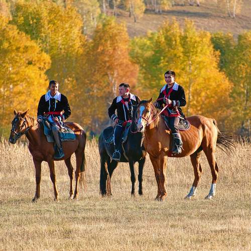 Photo #9961710