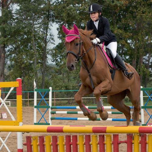 Photo #9961733