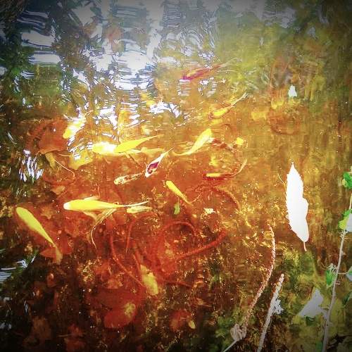 Photo #9961894
