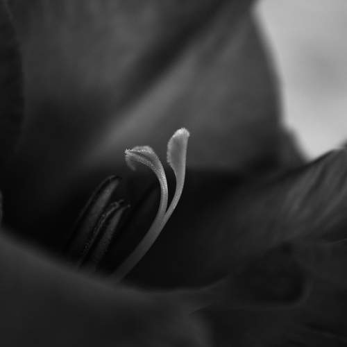 Photo #9962003