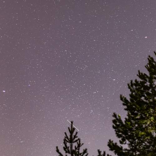 Photo #9962094