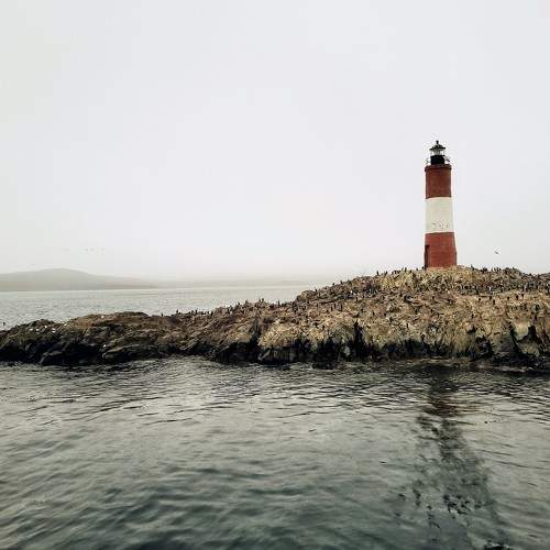 Photo #9963031