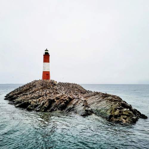 Photo #9963034