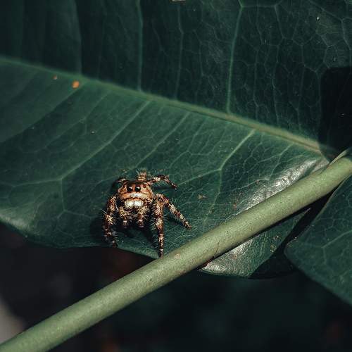 Photo #9963035