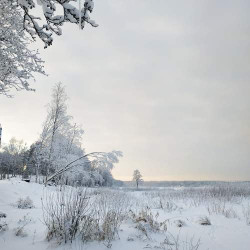 Photo #9963102