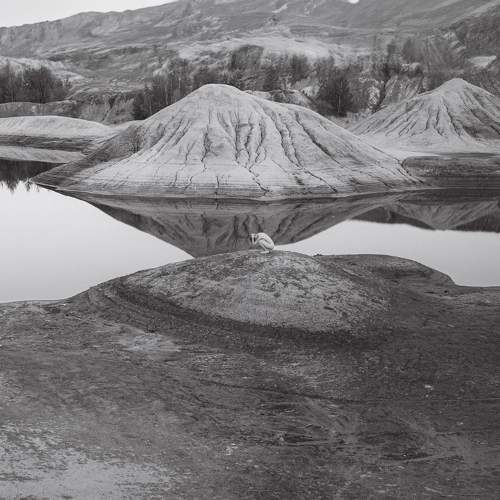 Photo #9963236