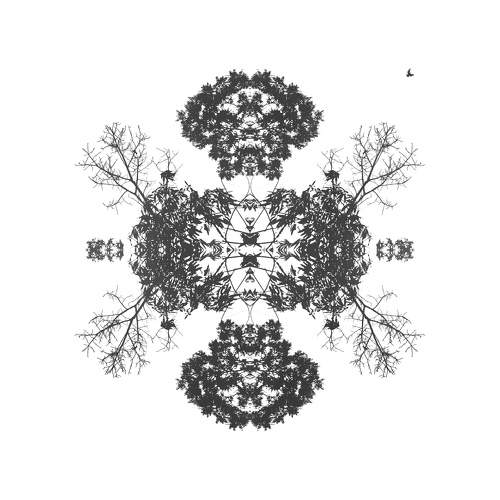 Circle of Willis