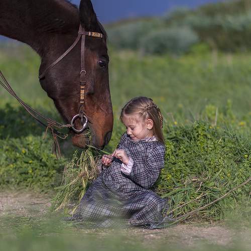Photo #9963770