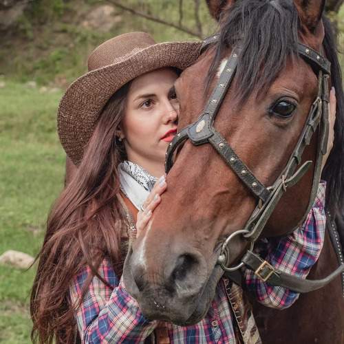 Конь доллар, мой верный друг.