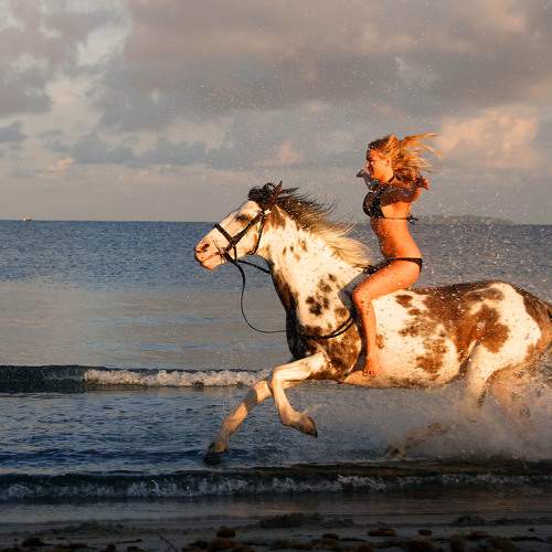 Фотография #9964148