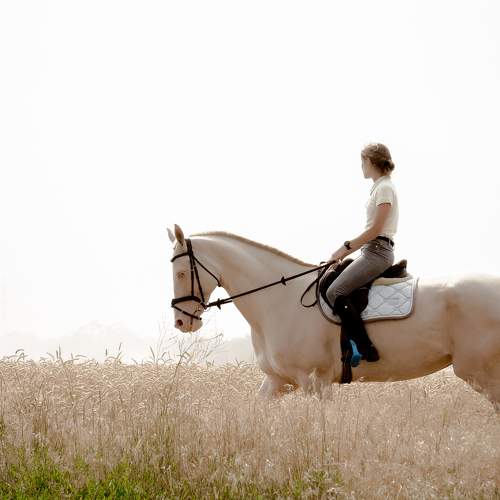 Photo #9964204